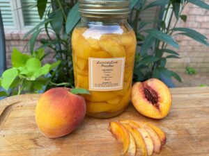 Canned Peaches